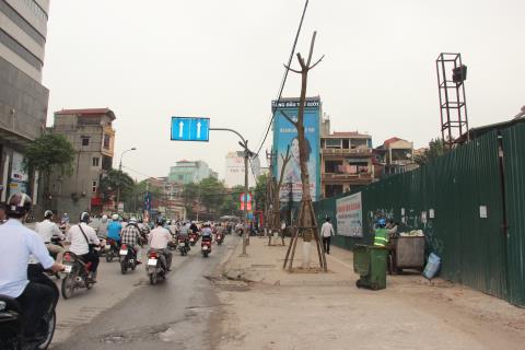 Hà[-]Nội:[-]Cây[-]mới[-]trồng[-]đang[-]chết[-]hàng[-]loạt